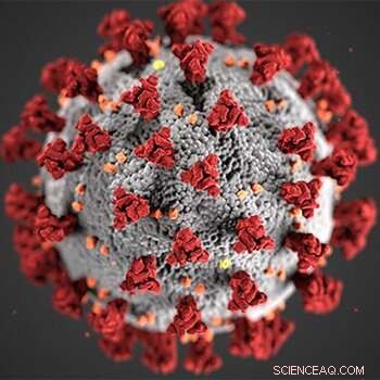 Study Reveals Rare SARS-CoV-2 Recombination Events Concentrated in Spike Protein