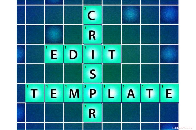 Standardized Genome Editing Vocabulary Enhances Scientific Precision and Communication