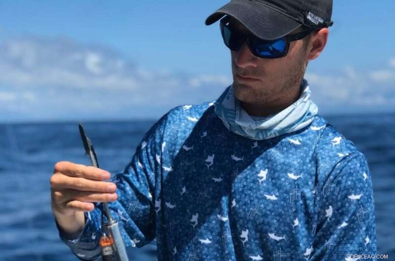 Scientists Deploy First-of-its-Kind Sensors for Comprehensive Billfish Tracking Study