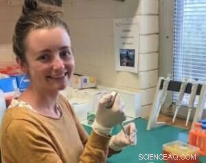 Genomic Study Reveals Three Distinct Oceanic Snapper Populations in Australian Waters