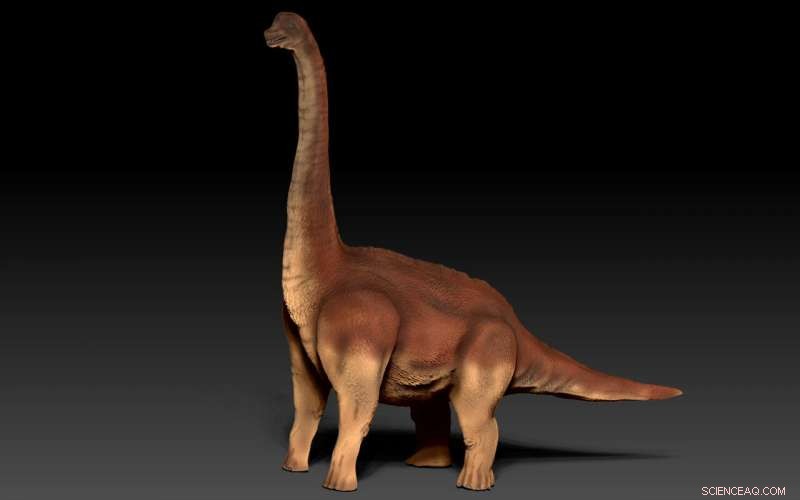 Sauropod Foot Pads: How Giant Dinosaurs Supported Their Weight on Land