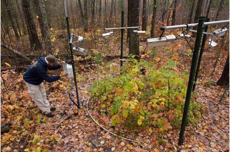 University of Michigan Study: Modest Climate Change Could Reshape Northern Forests