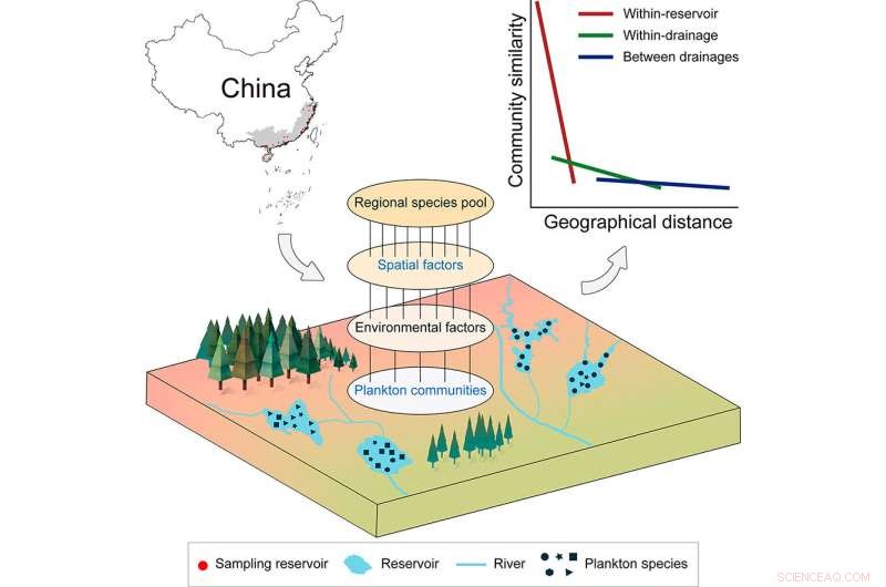 Study Reveals Spatial Distribution of Phytoplankton and Zooplankton in Southeast China Reservoirs