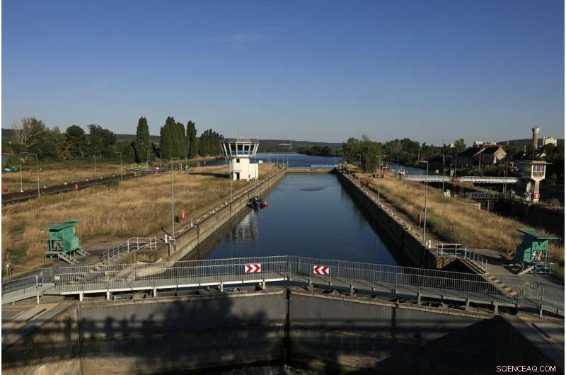 Beluga Whale Strayed into Seine River Euthanized During Rescue Operation