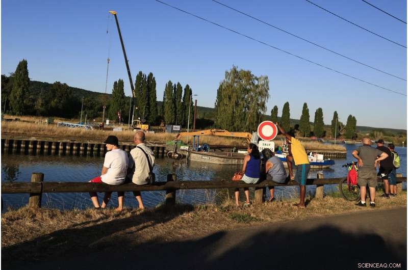 Beluga Whale Strayed into Seine River Euthanized During Rescue Operation