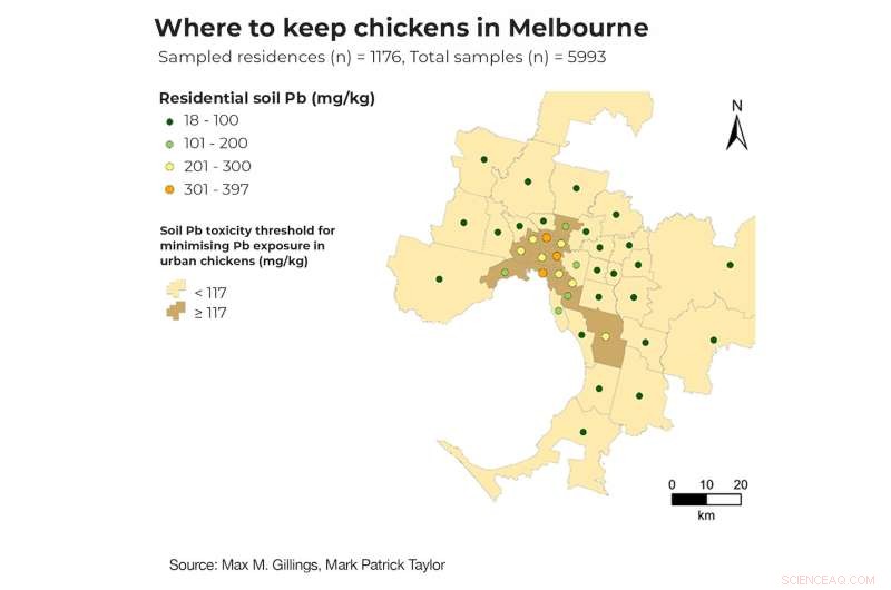 Australian Study: Backyard Chicken Eggs Contain 40 Times More Lead Than Commercial Eggs