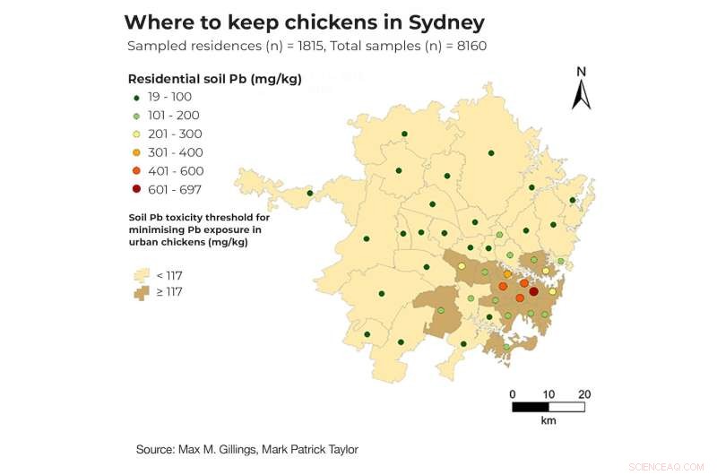 Australian Study: Backyard Chicken Eggs Contain 40 Times More Lead Than Commercial Eggs