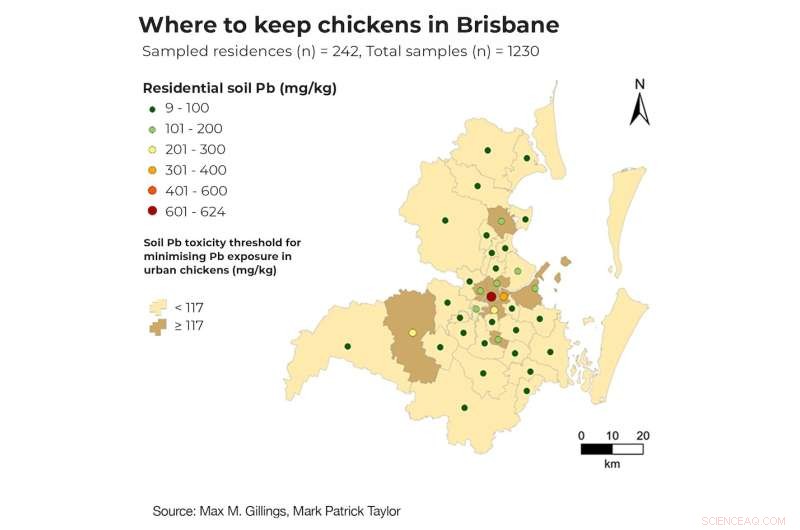 Australian Study: Backyard Chicken Eggs Contain 40 Times More Lead Than Commercial Eggs