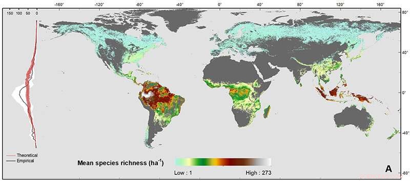 New Study Explains Baffling Trends in Global Tree Species Richness