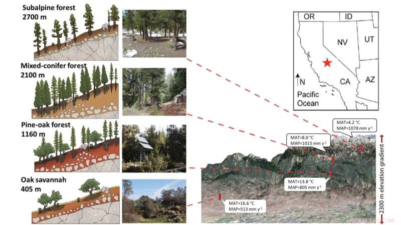 Drought Intensifies Toxic Microbe Dust Deposition in Sierra Nevada Mountains