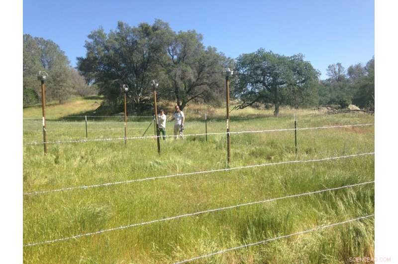 Drought Intensifies Toxic Microbe Dust Deposition in Sierra Nevada Mountains