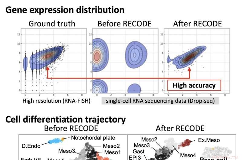 Enabling Clear Signal Extraction: A Mathematical Approach to Single-Cell RNA Sequencing