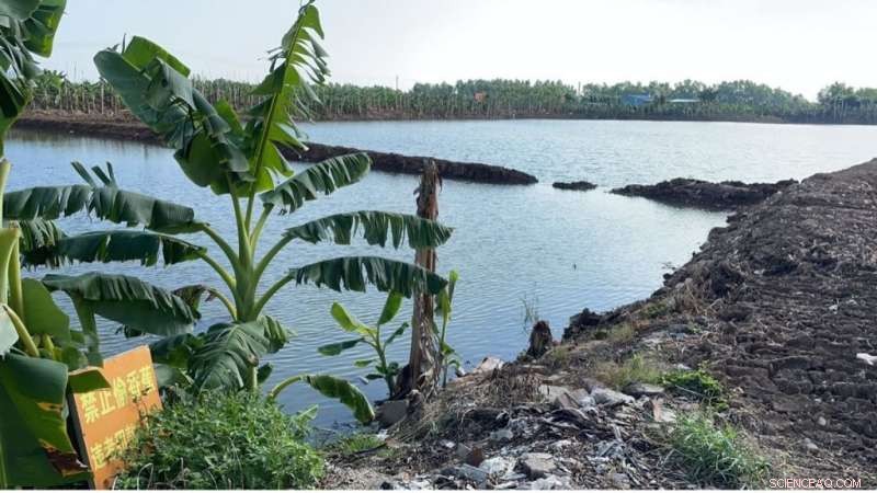 Shrimp Farm Geometry Linked to Groundwater Pollution in Coastal China