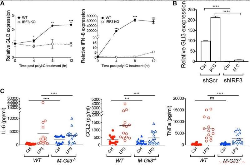 Toll-Like Receptor Signaling Regulates Oncogenic GLI3: A Novel Mechanism in Cancer Biology