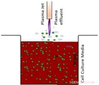 How Cold Atmospheric Plasma Modifies Stem Cell Adhesion via Van der Waals Forces