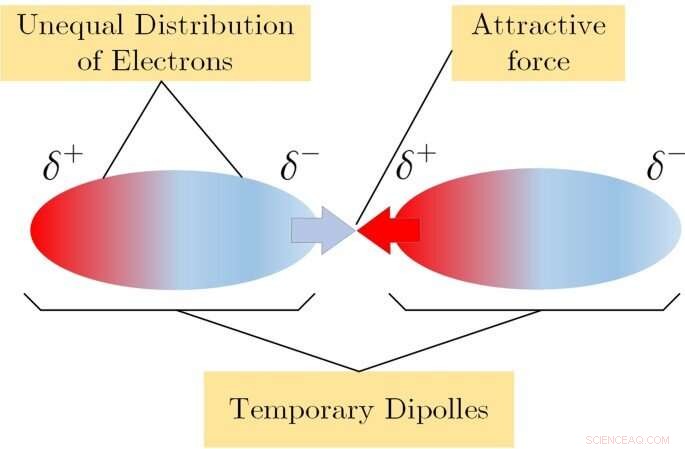 How Cold Atmospheric Plasma Modifies Stem Cell Adhesion via Van der Waals Forces