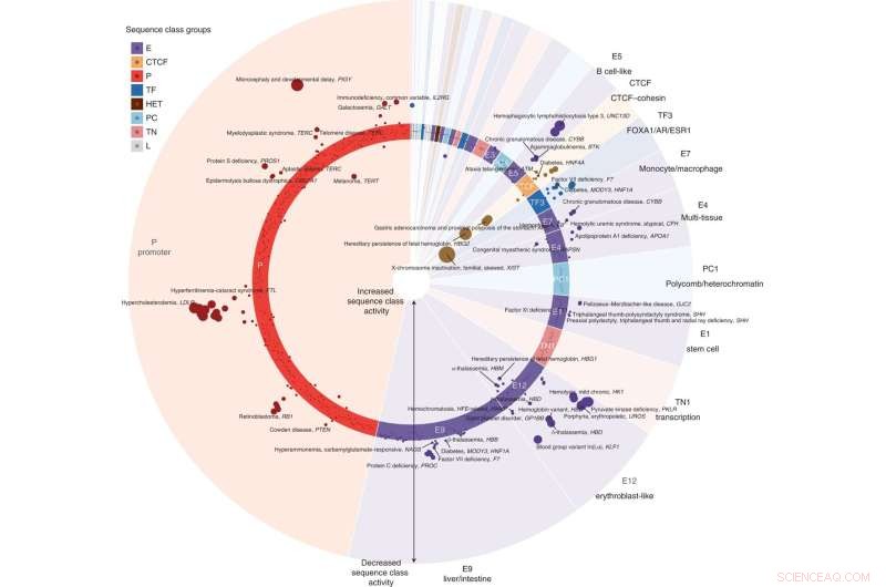 AI Tools Accurately Predict DNA Regulatory Roles and 3D Structures
