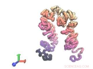 AI Tools Accurately Predict DNA Regulatory Roles and 3D Structures