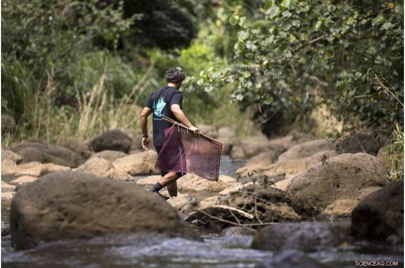 Groundbreaking Ridge-to-Reef Census Reveals Vast Hidden Microbial Reservoirs