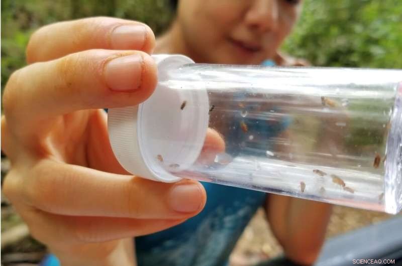 Groundbreaking Ridge-to-Reef Census Reveals Vast Hidden Microbial Reservoirs