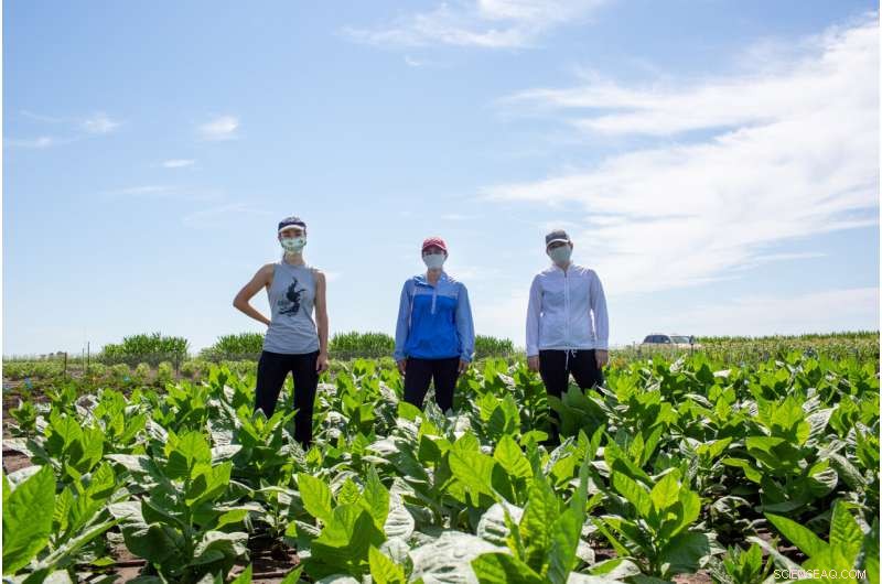 Research Breakthrough: Enhancing Water-Use Efficiency in Field Crops to Combat Scarcity