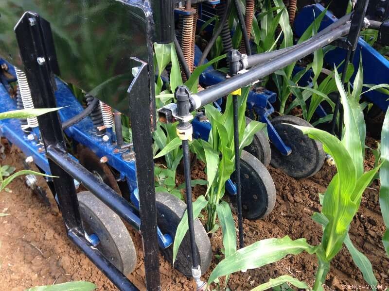 Boost Cover Crop Success with Interseeding: Research-Backed Methods for Higher Yields