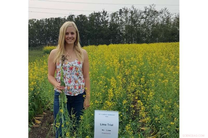 Lime as a Potential Solution for Clubroot in Canola Crops - University of Alberta Research