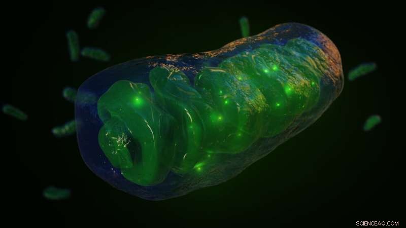 Emergence of Complex Cells: New Research Challenges Mitochondrial Theory