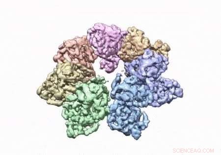 3D Structure of Twinkle Protein Unveiled, Offering Insights into Mitochondrial Diseases