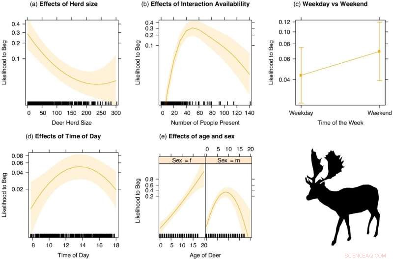 Risks of Feeding Wildlife: How Human Interaction Can Drive Harassment