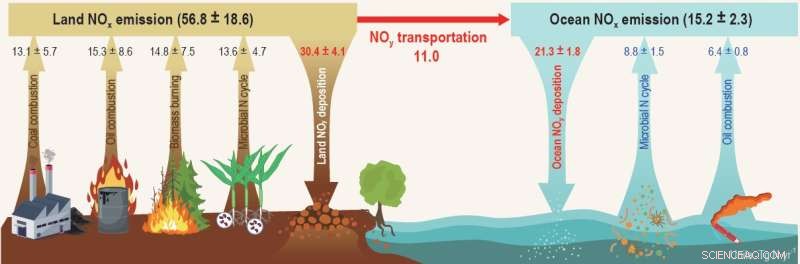 Microbial Nitrogen Oxide Emissions: A Key Component of the Nitrogen Cycle