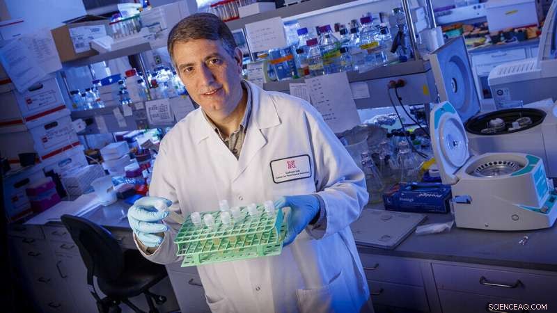 Unlocking Oilseed Potential: Research Paves Way for Eco-Friendly Bioproducts