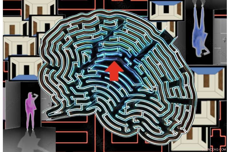 Harnessing Brain Signals to Build AI for Precise Self-Localization and Navigation