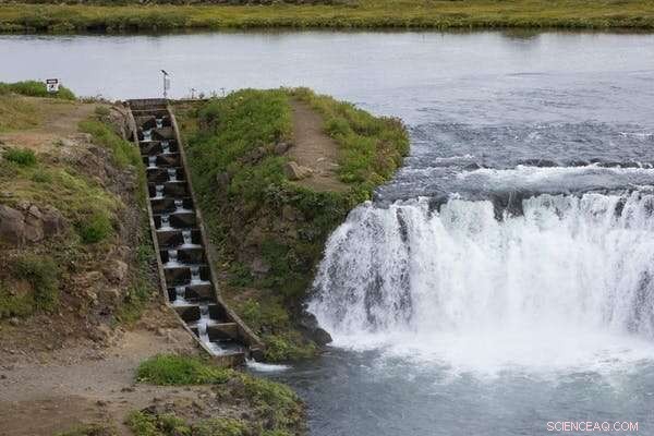 Fish Passes: Restoring River Connectivity for Aquatic Species Blocked by Dams