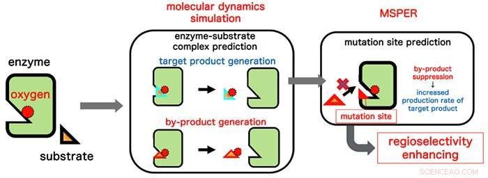 Enhance Enzyme Function with Computational Design