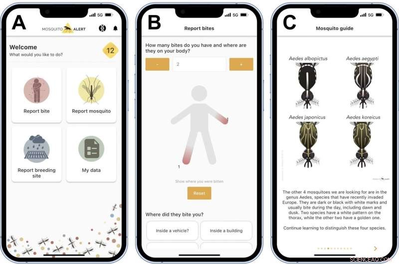 Global Mosquito Dashboard Launched to Track Invasive Species and Disease Threats