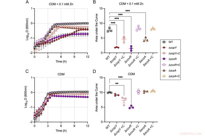 Bacteria Deploy Genetic Switches to Counteract Metal-Induced Toxicity