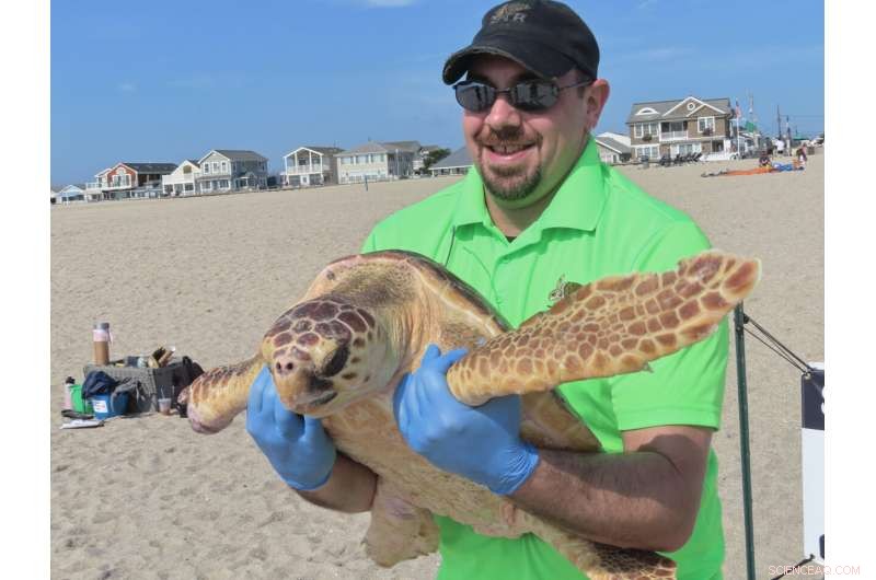 Titan the Resilient Turtle: A Survivor Returned to the Ocean