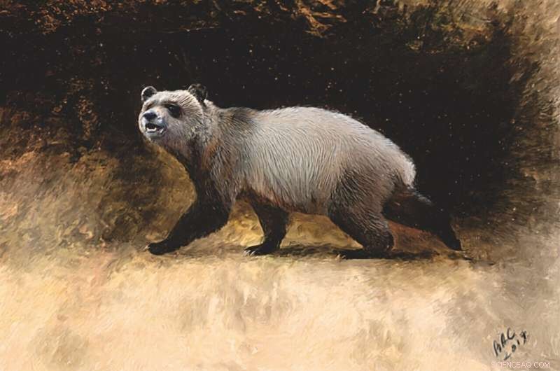 New Panda Species Unearthed in Bulgaria: Europe’s Last Giant Panda