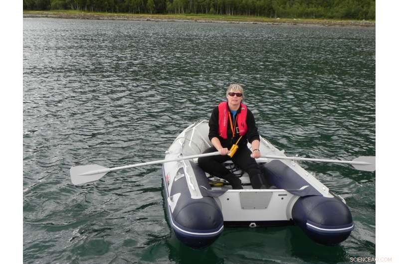 Ancient Ice Age Legacy Shapes Modern Seagrass Resilience to Environmental Threats