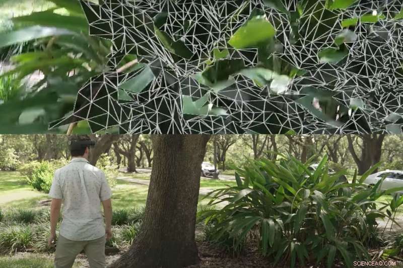 VegSense: Revolutionizing Forest Studies with Augmented Reality