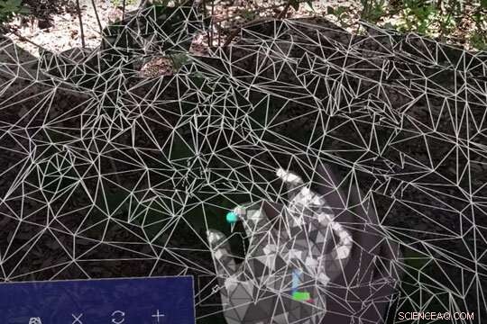 VegSense: Revolutionizing Forest Studies with Augmented Reality