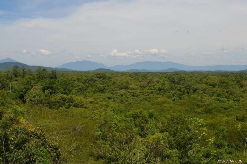 Brazil s Atlantic Forest: 20 Years of Conservation & Ecological Restoration to Restore Biodiversity