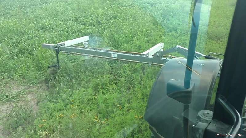 Electricity-Based Weed Control: The Weed Zapper’s Effectiveness in Soybean Fields