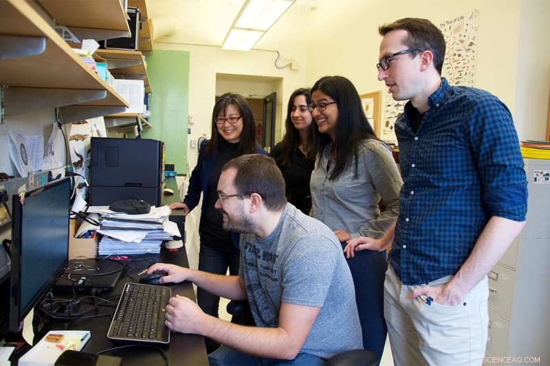 Whale Vision Traces the Transition from Land to Sea: New Evolutionary Insights