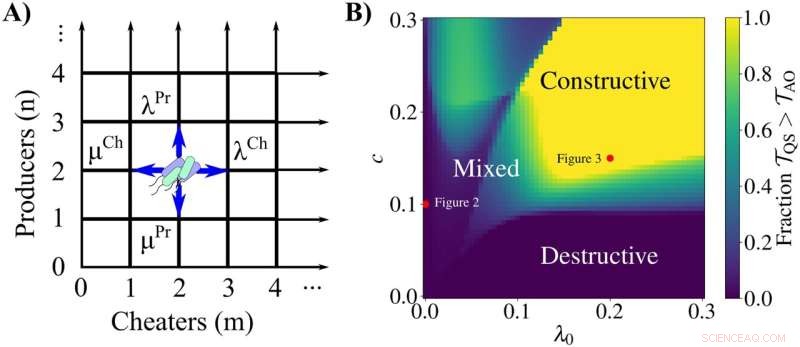 New Research Uncovers Spiteful Behavior Among Bacterial Populations