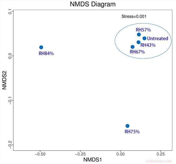 Scientists Identify Culprit Behind Sunflower Seed Mildew