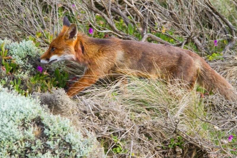 Australia’s 30% Land and Sea Protection Target by 2030: The Real Challenges