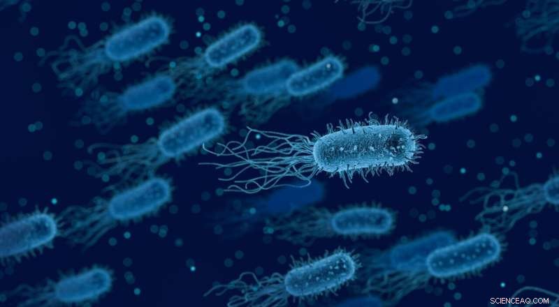 Scientists Uncover Complex Mechanism Bacteria Use to Evade Antibiotics
