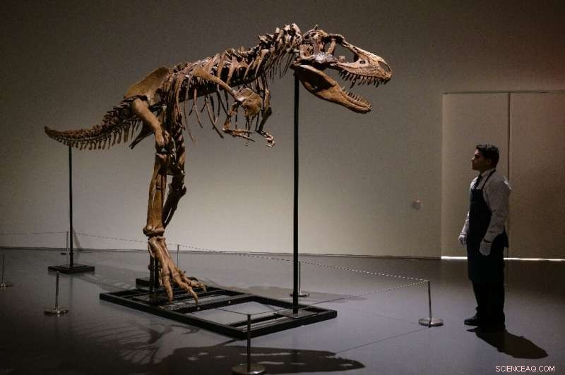 Gorgosaurus Skeleton Sells for $6.1M at Sotheby s New York Auction